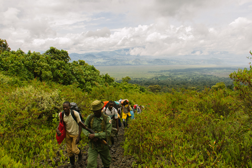 A safari in Congo